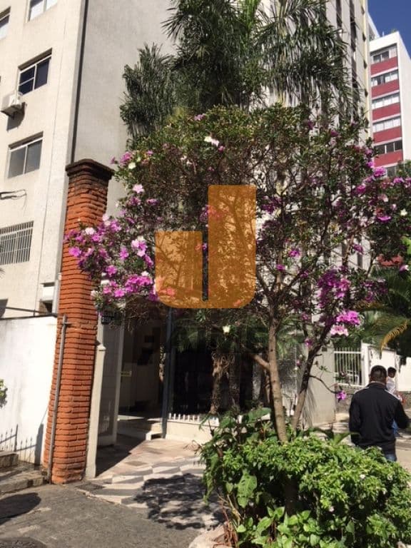 Comercial na AV ANGÉLICA — Higienópolis, São Paulo - foto 3