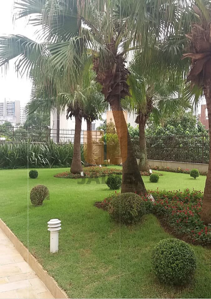 Apartamento de 3 dormitórios na R Dos Coroados — Vila Anastácio, São Paulo - foto 2