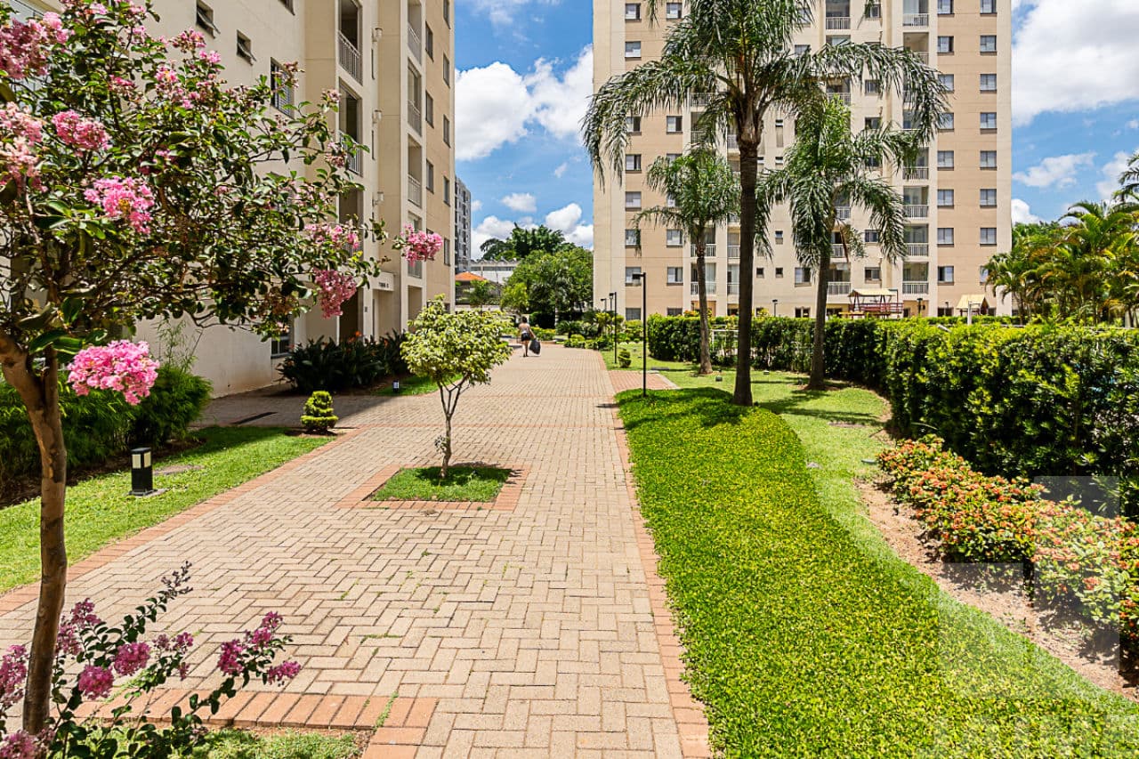Apartamento de 3 dormitórios na AV SANTA MARINA — Água Branca, São Paulo - foto 3