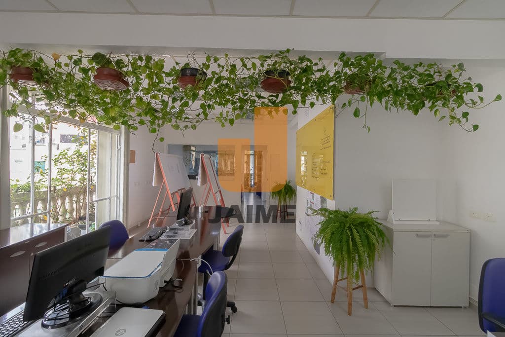 Comercial na R Santa Isabel — Higienópolis, São Paulo - foto 3