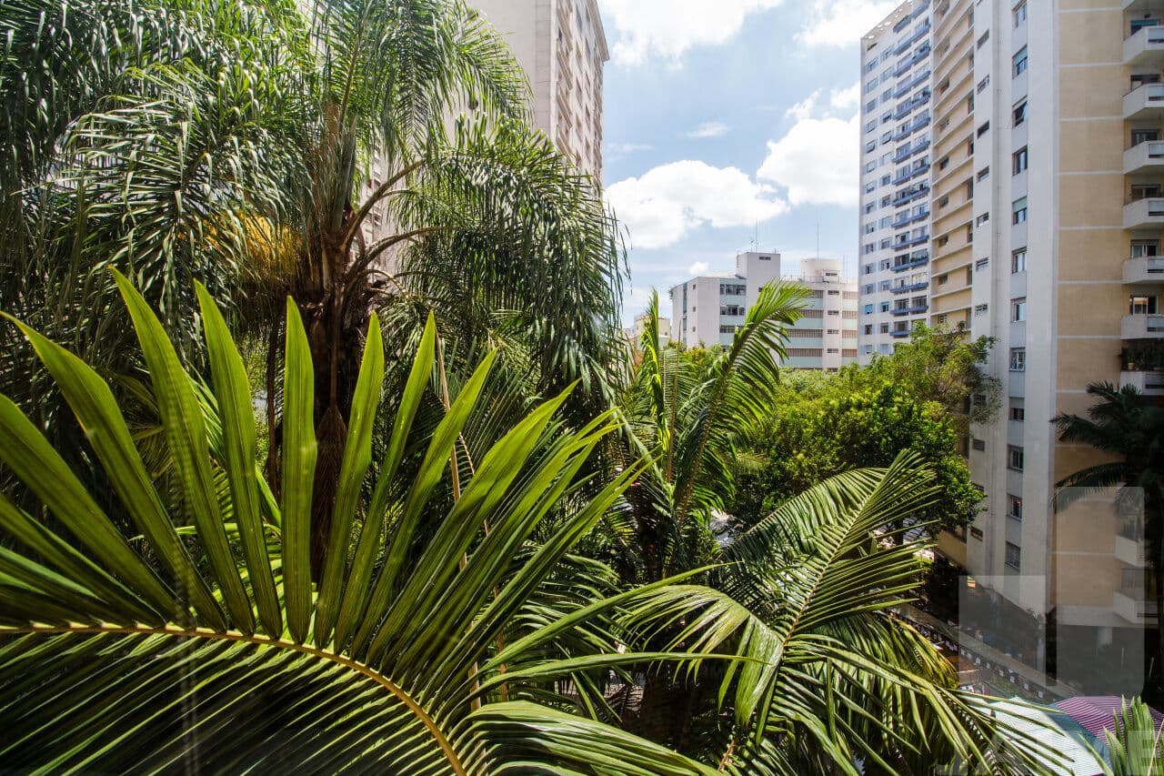 Apartamento de 4 dormitórios na AV Higienópolis — Higienópolis, São Paulo - foto 5