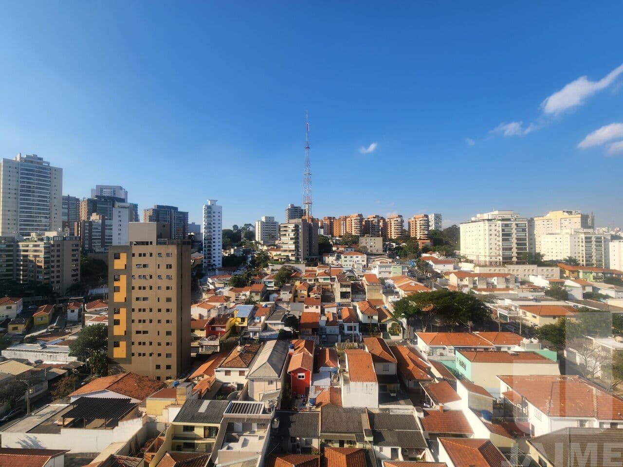 Apartamento de 3 dormitórios na R Bergamota — Alto da Lapa, São Paulo - foto 2