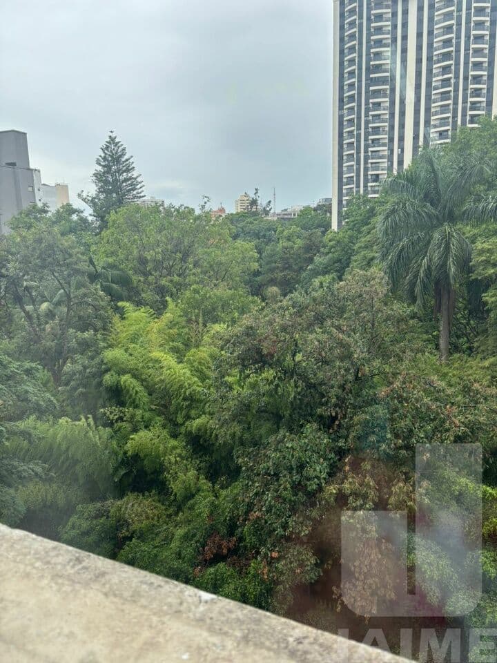 Comercial na R General Jardim — Higienópolis, São Paulo - foto 4