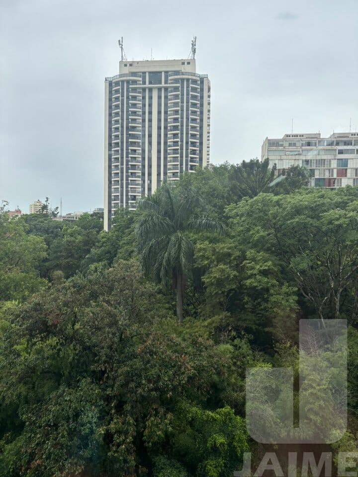 Comercial na R General Jardim — Higienópolis, São Paulo - foto 2