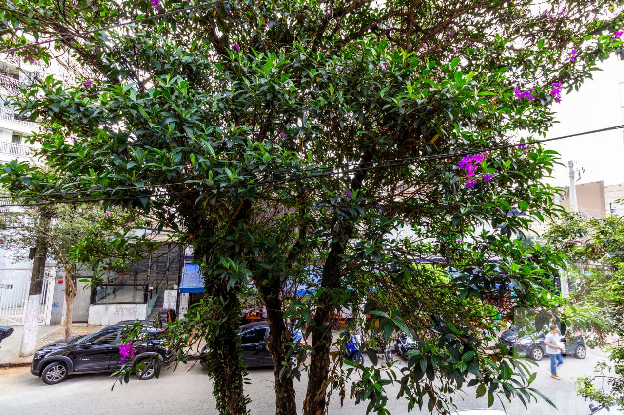 Casa de 2 dormitórios na R Caraíbas — Perdizes, São Paulo - foto 2