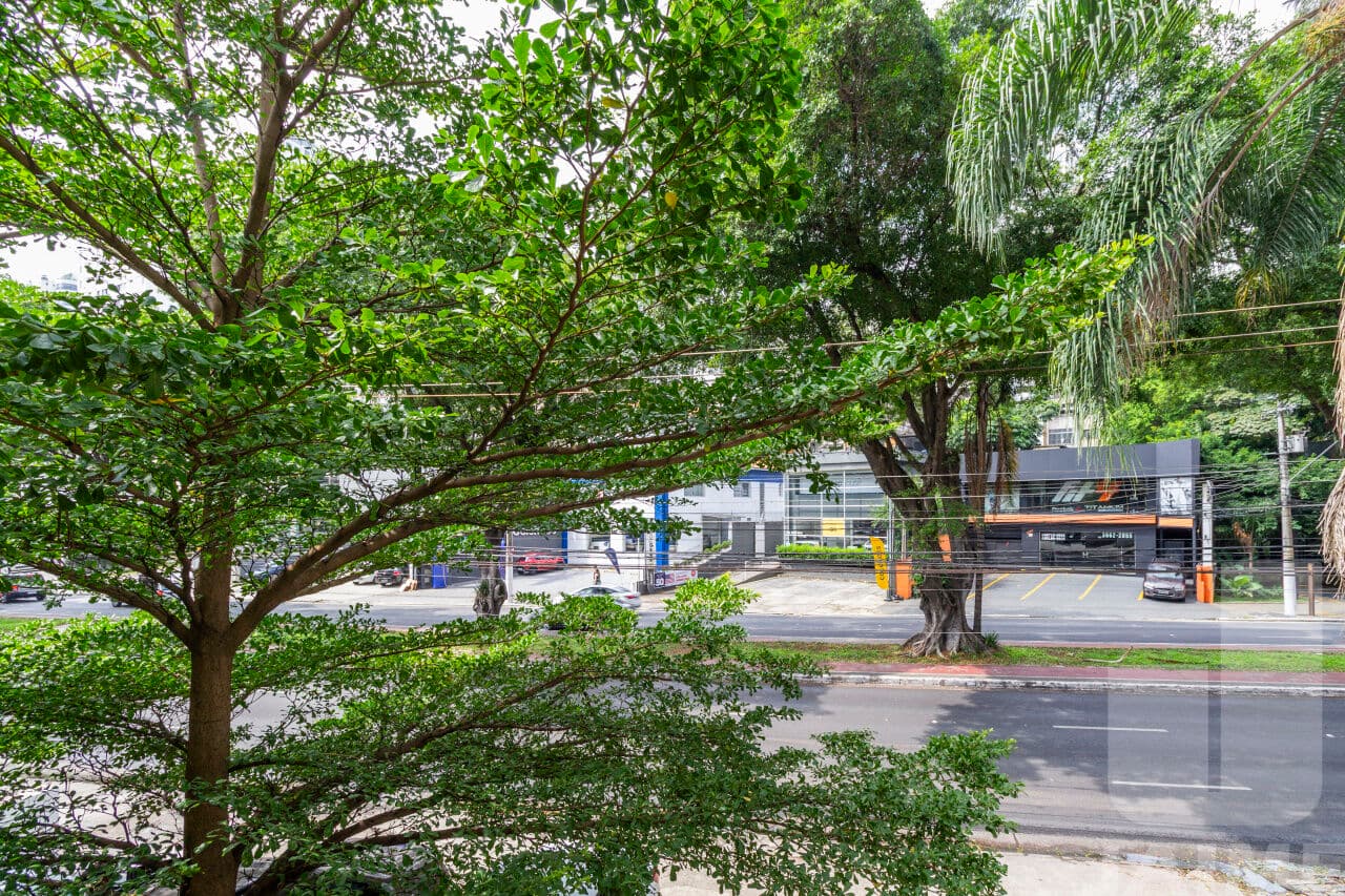 Comercial na AV Pacaembu — Pacaembu, São Paulo - foto 4