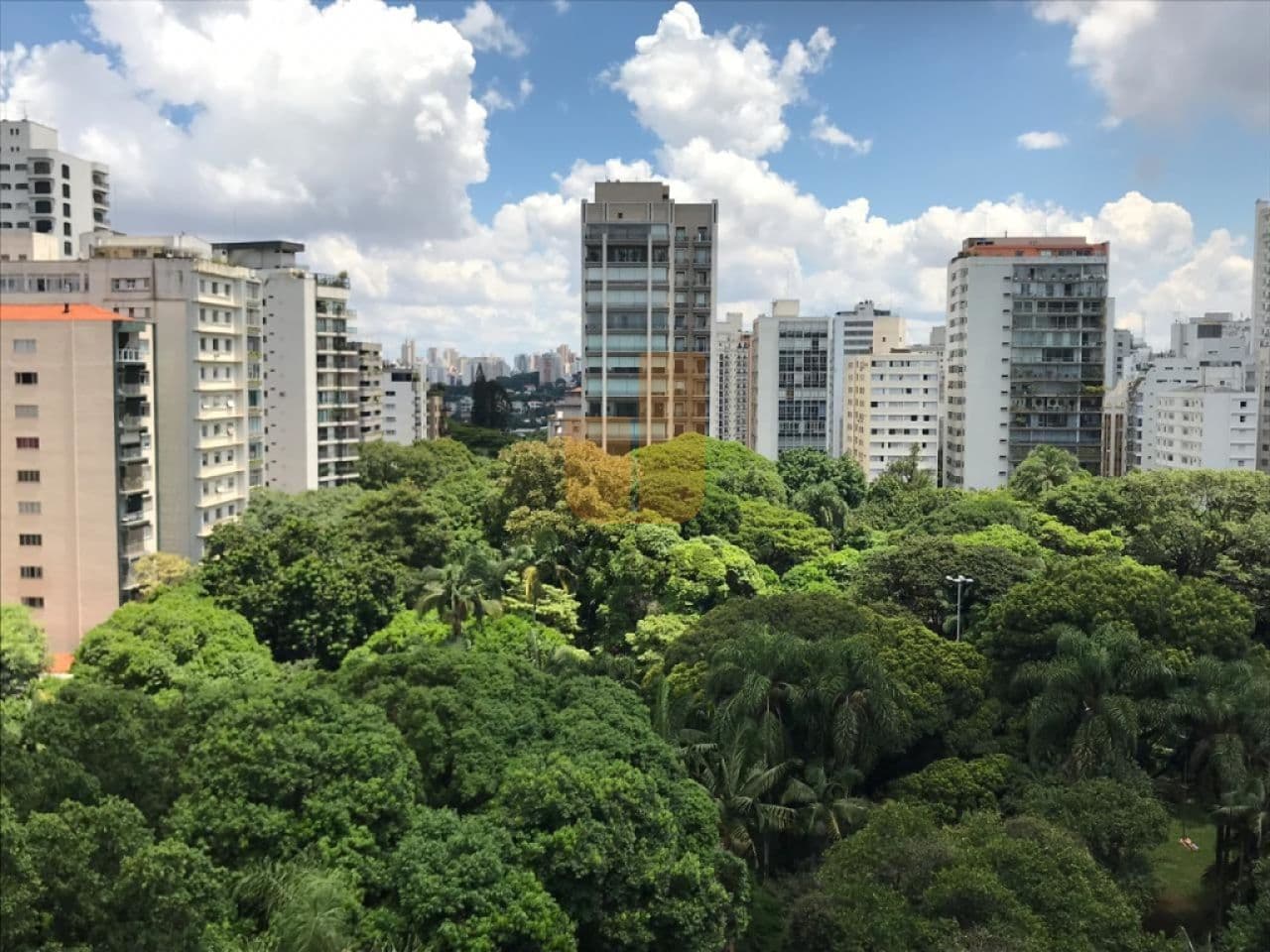 Apartamento em Higienópolis