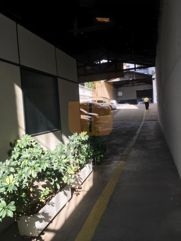 Terreno na R Doutor Albuquerque Lins — Higienópolis, São Paulo - foto 4