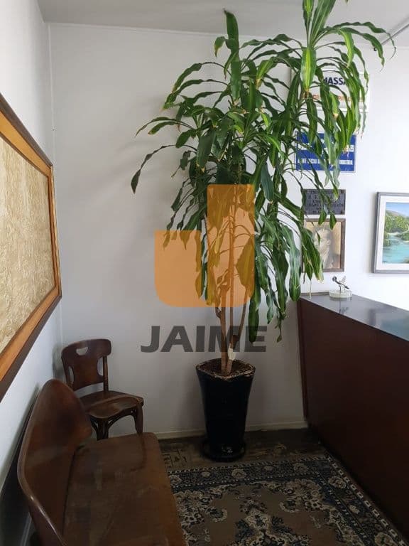 Comercial na R José Bonifácio — Sé, São Paulo - foto 3