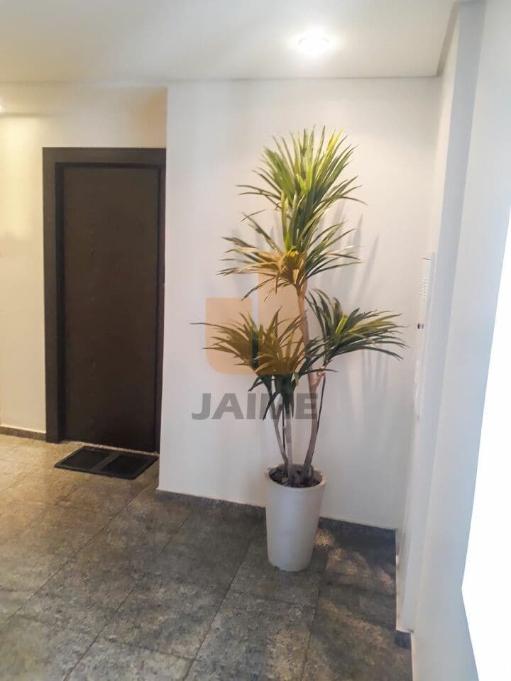 Comercial na R DOUTOR ALBUQUERQUE LINS — Higienópolis, São Paulo - foto 2