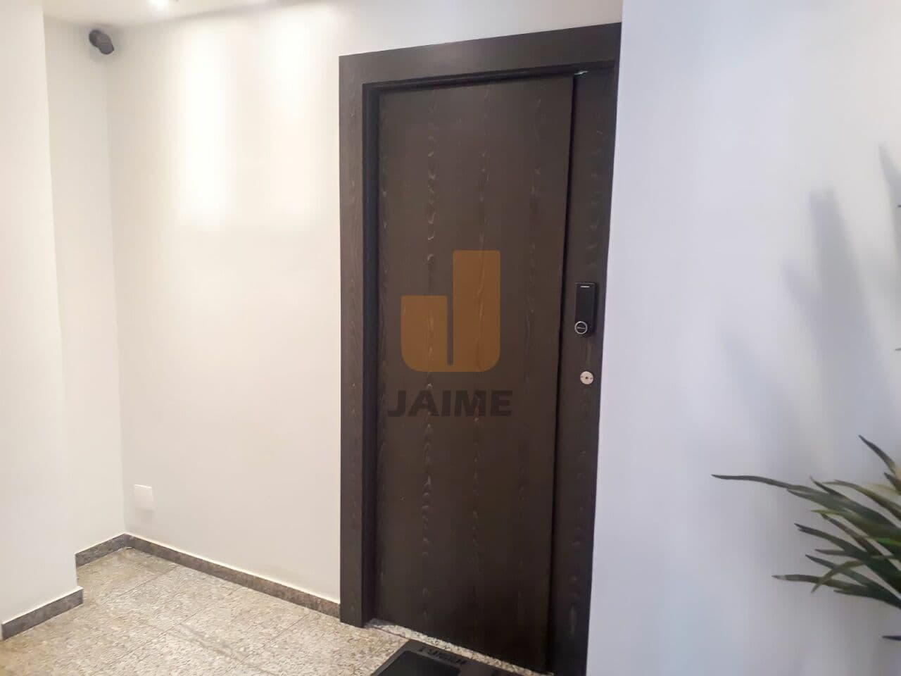 Comercial na R DOUTOR ALBUQUERQUE LINS — Higienópolis, São Paulo - foto 3