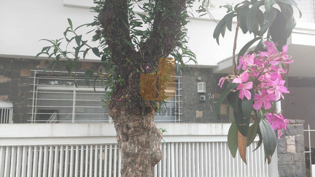 Casa em Cidade Monções