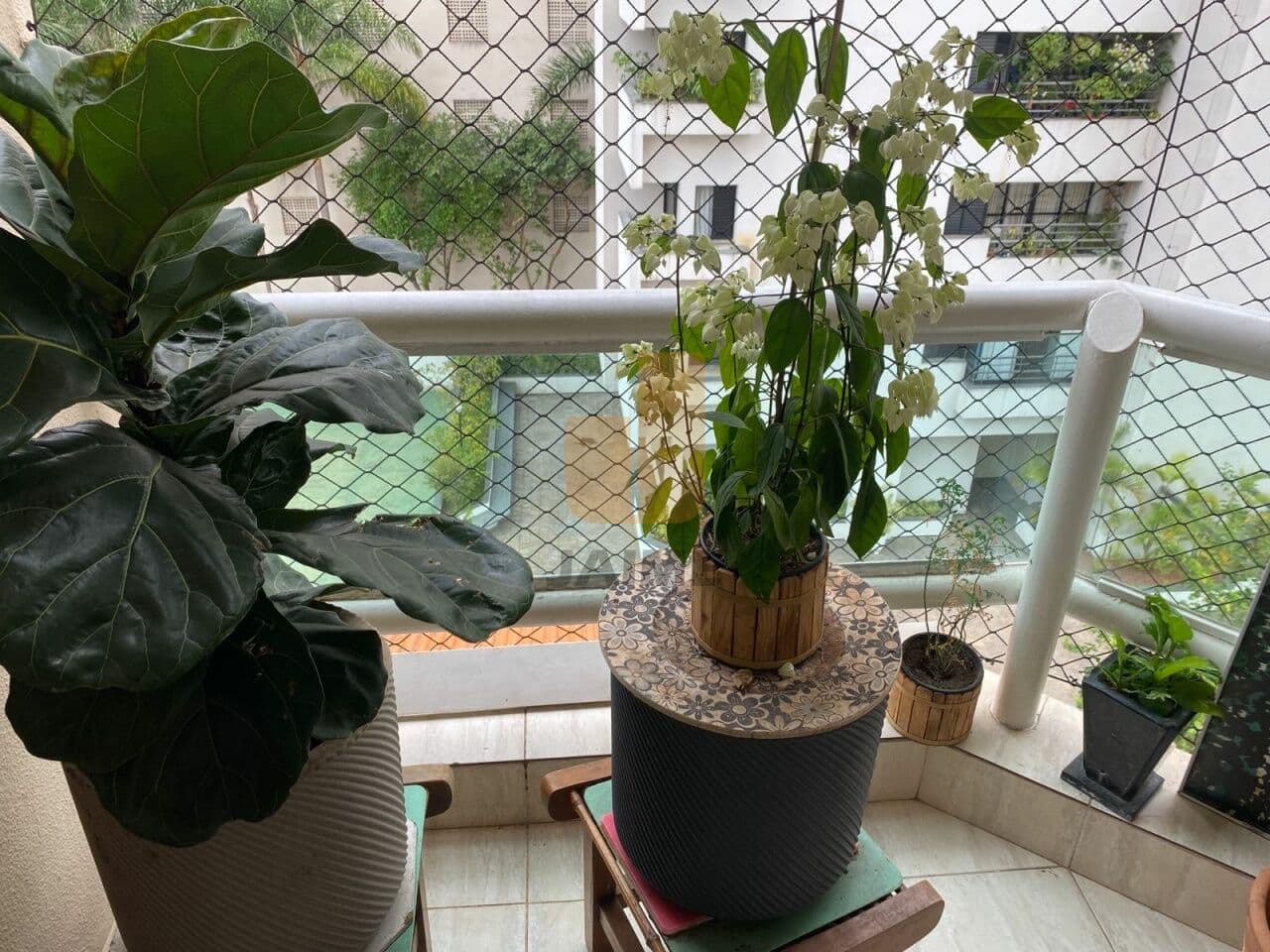 Apartamento de 2 dormitórios na R Padre Machado — Bosque da Saúde, São Paulo - foto 4