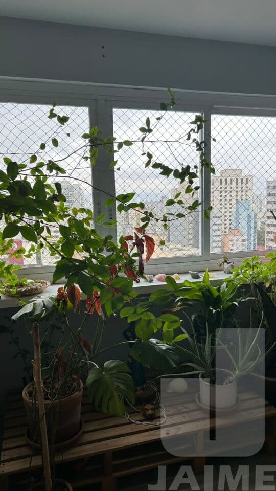 Apartamento de 3 dormitórios na R MONTE ALEGRE — Perdizes, São Paulo - foto 2