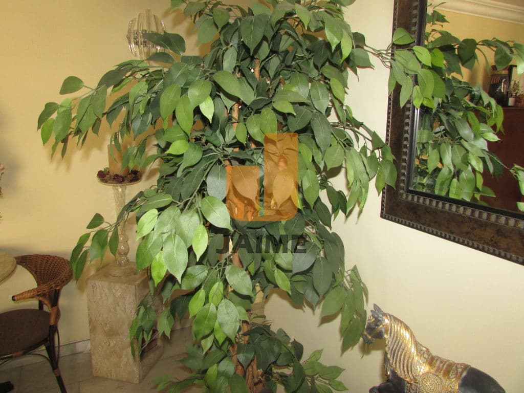 Apartamento de 3 dormitórios na R TRAIPU — Perdizes, São Paulo - foto 2