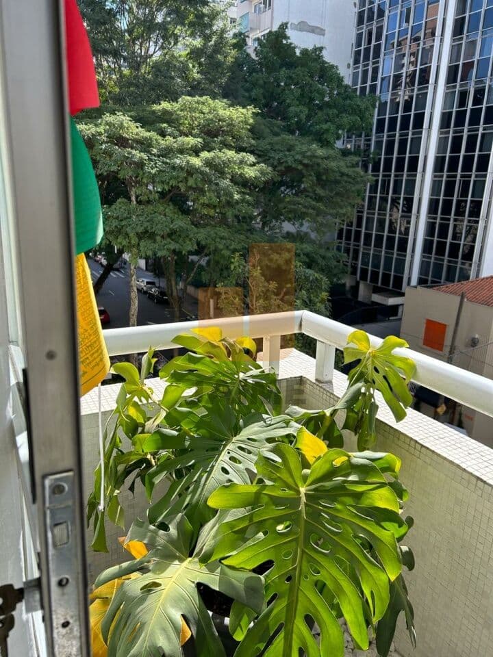 Apartamento de 3 dormitórios na R PIAUÍ — Higienópolis, São Paulo - foto 4