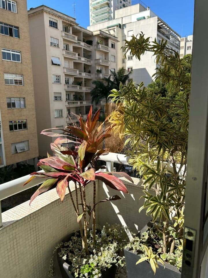 Apartamento de 3 dormitórios na R PIAUÍ — Higienópolis, São Paulo - foto 5