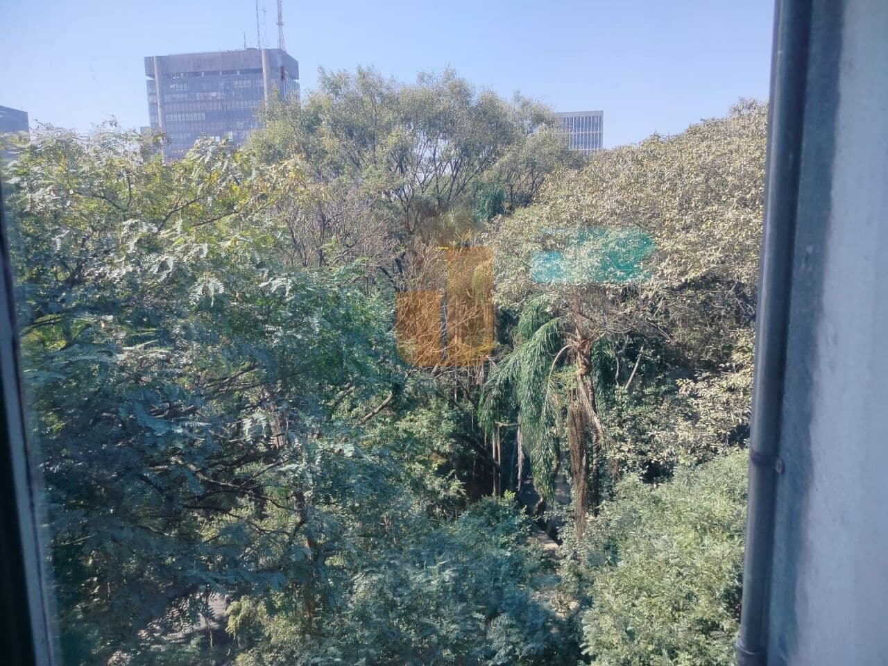 Comercial na R Peixoto Gomide — Jardim Paulista, São Paulo - foto 3