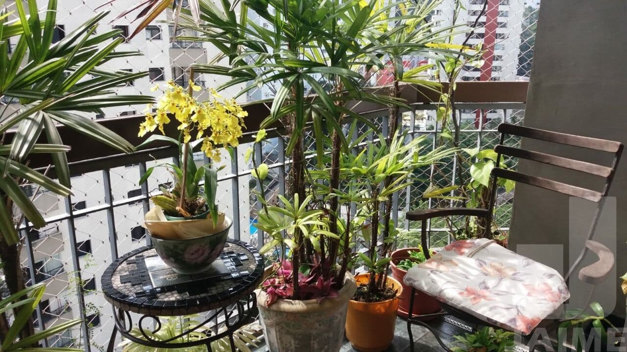 Apartamento de 3 dormitórios na R ABDO AMBUBA — Vila Andrade, São Paulo - foto 4