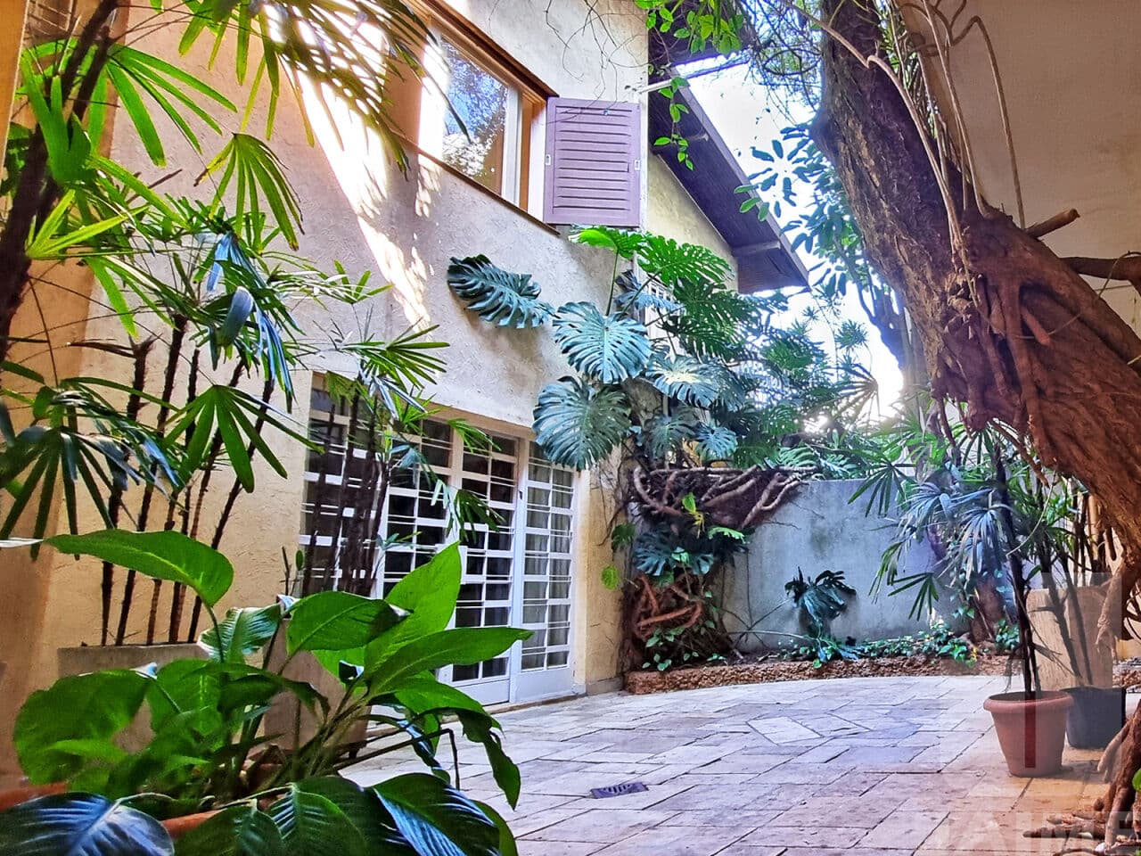 Casa de 5 dormitórios na R Atibaia — Pacaembu, São Paulo - foto 2