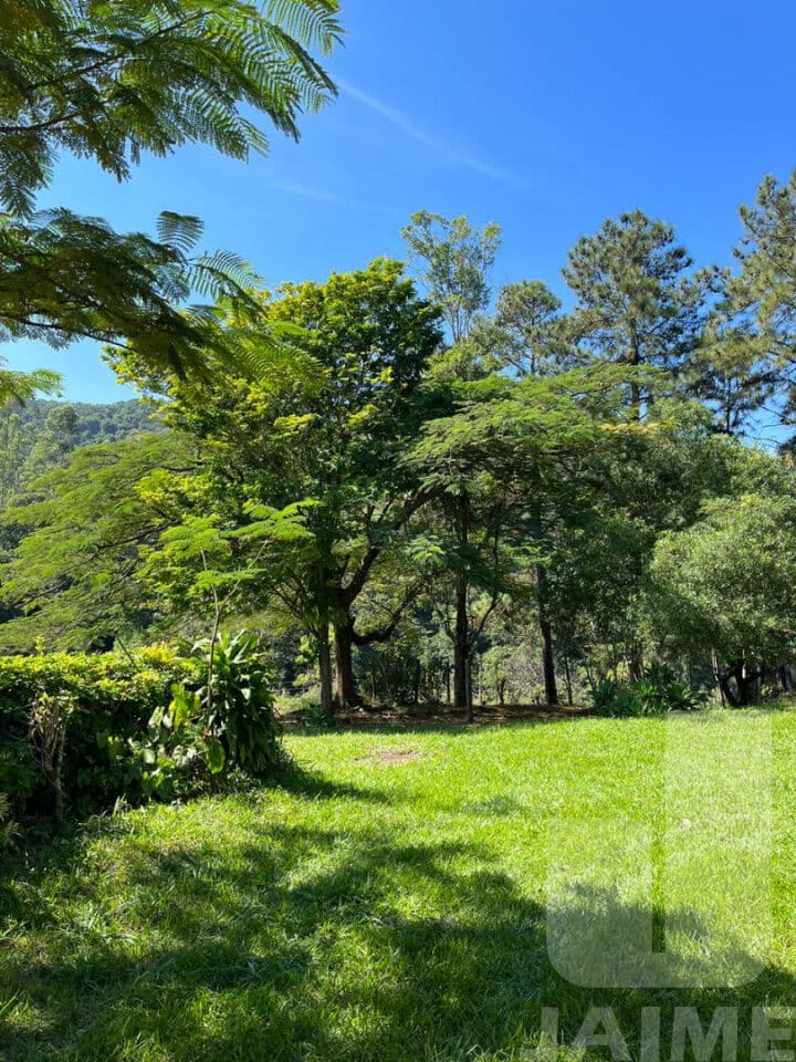 Terreno na ROD Castelo Branco — Centro, São Paulo - foto 3