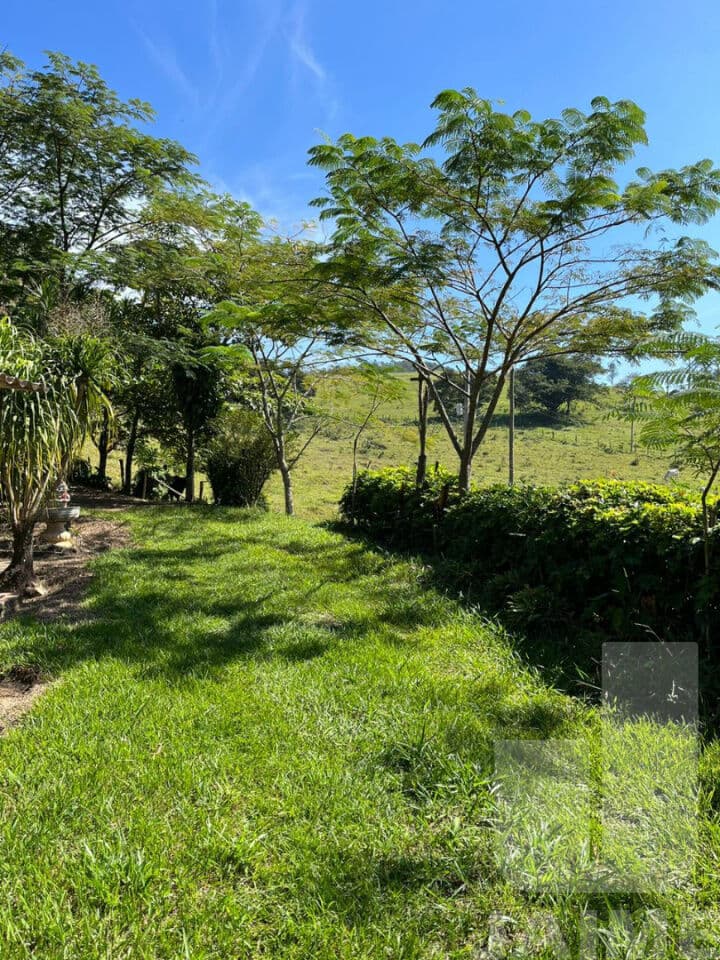 Terreno na ROD Castelo Branco — Centro, São Paulo - foto 5