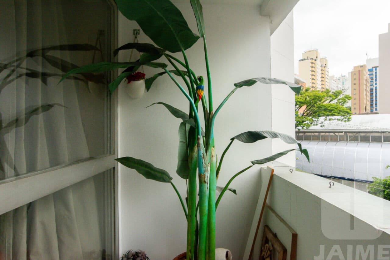 Apartamento de 3 dormitórios na R ALVES GUIMARÃES — Pinheiros, São Paulo - foto 3