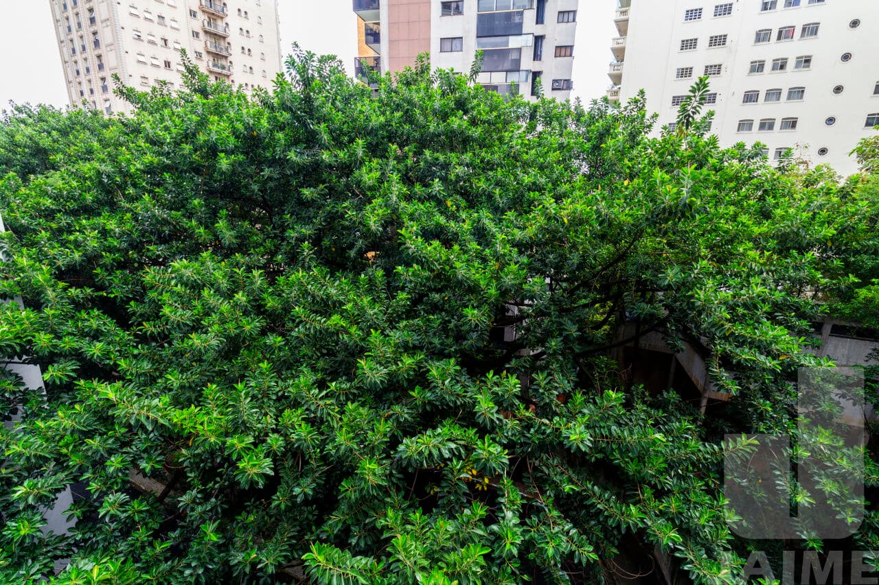 Apartamento de 3 dormitórios na R RIO DE JANEIRO — Higienópolis, São Paulo - foto 3
