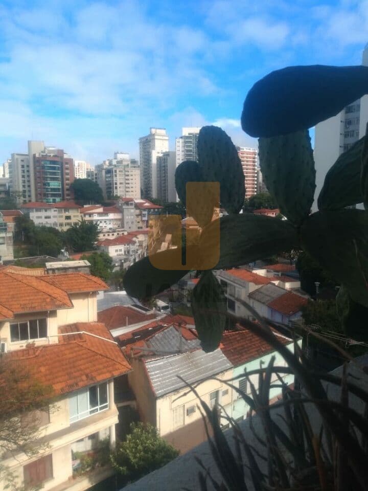 Apartamento de 2 dormitórios na R DOUTOR VEIGA FILHO — Higienópolis, São Paulo - foto 5
