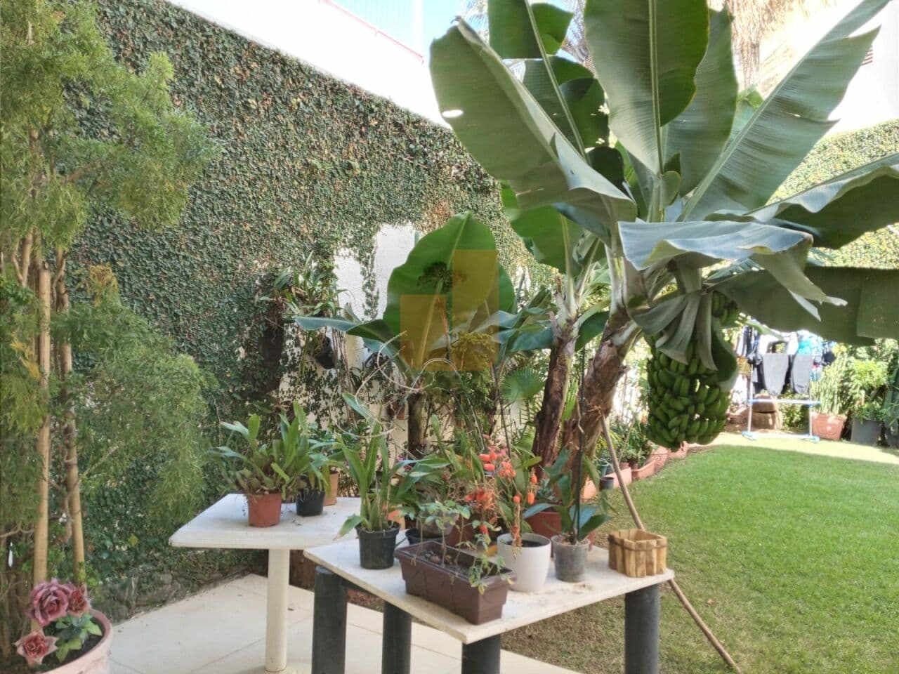 Casa de 5 dormitórios na R DOUTOR MANOEL MARIA TOURINHO — Pacaembu, São Paulo - foto 4