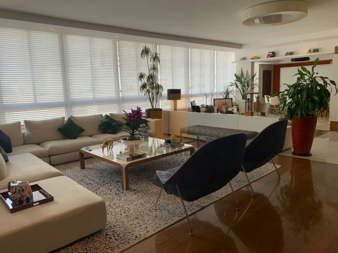 Apartamento de 3 dormitórios na R DOUTOR ALBUQUERQUE LINS — Higienópolis, São Paulo - foto 4