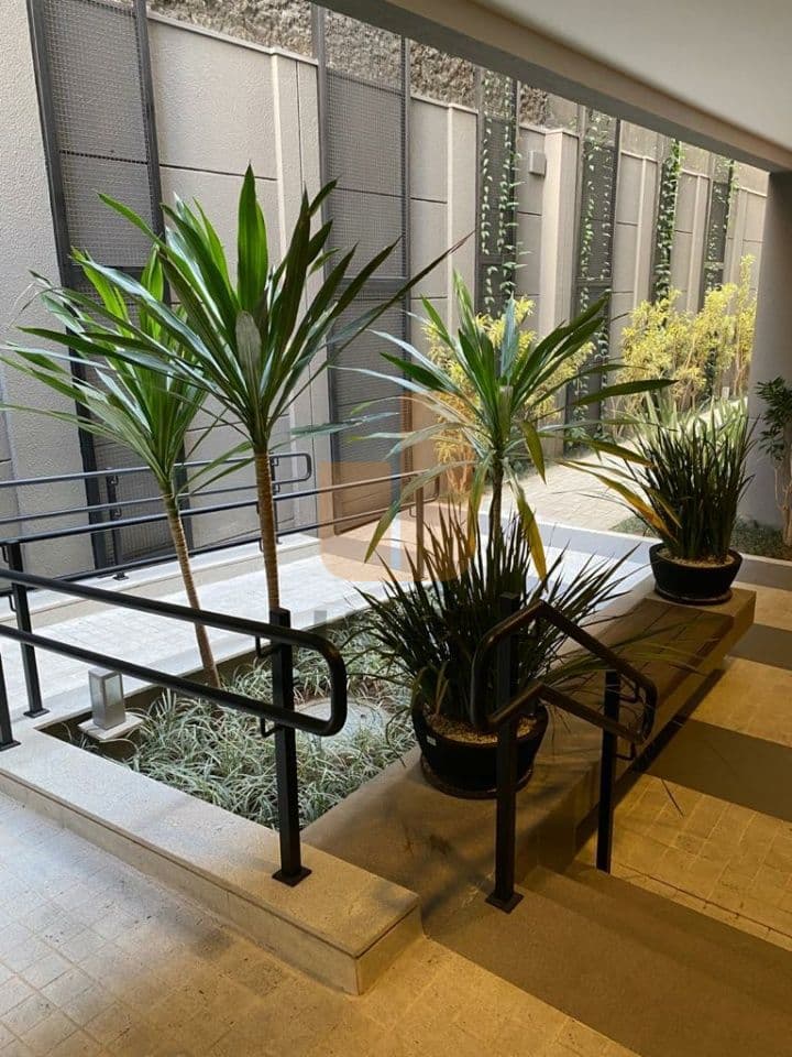 Apartamento de 1 dormitório na R Rego Freitas — República, São Paulo